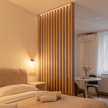 Classy & Cozy Apartment 2 卢布尔雅那 外观 照片